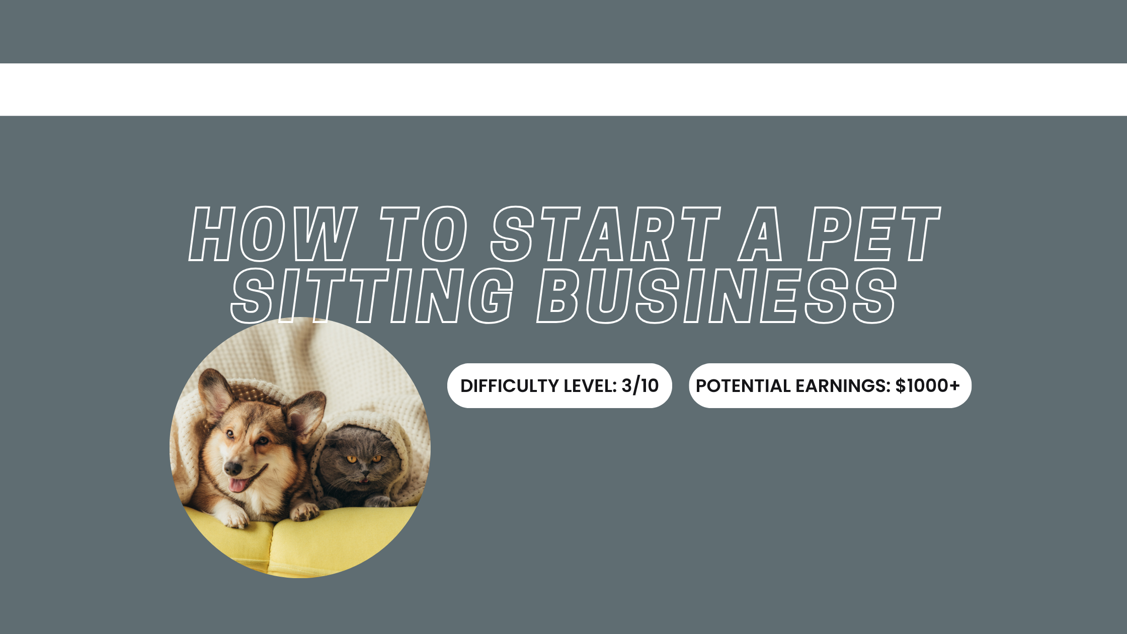 How to Start a Pet Sitting Business: Tips & Tricks